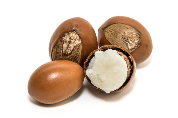 Shea Butter