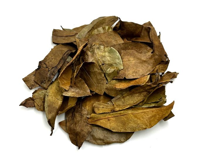 dried soursop leaves