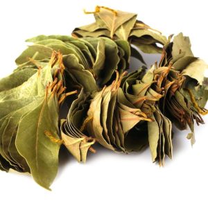 soupsop leaves
