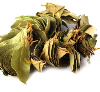 soupsop leaves