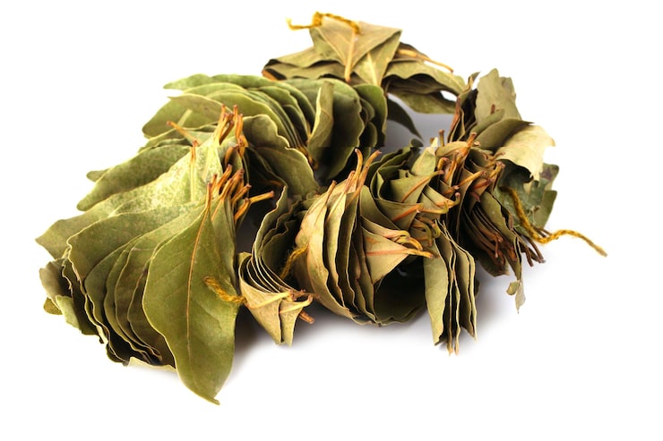 soupsop leaves